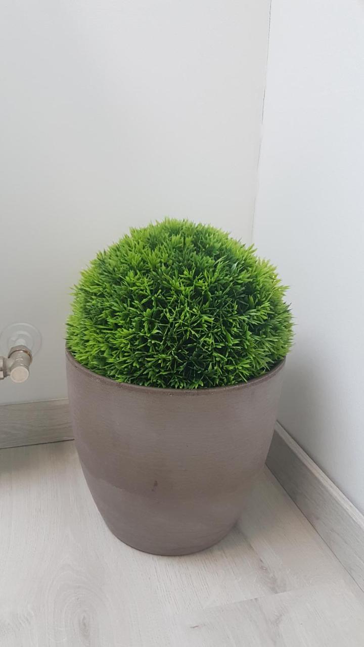 Promenad Apartman Mohács Exteriör bild